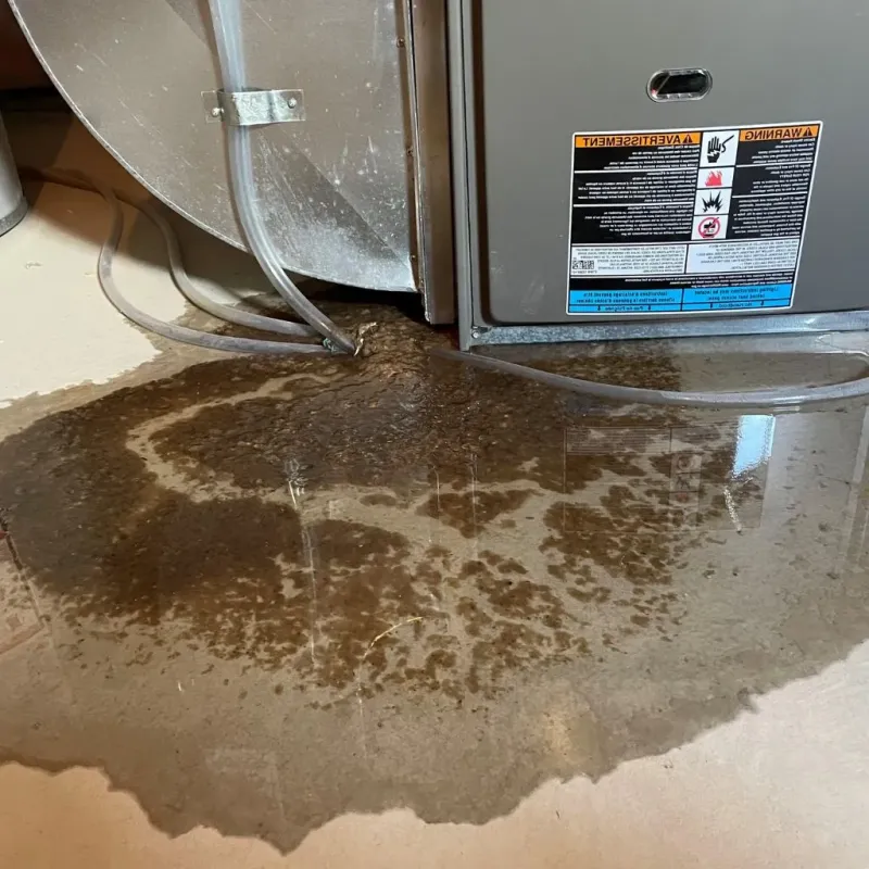Pipe Burst and Leak Restoration in Covington, TN