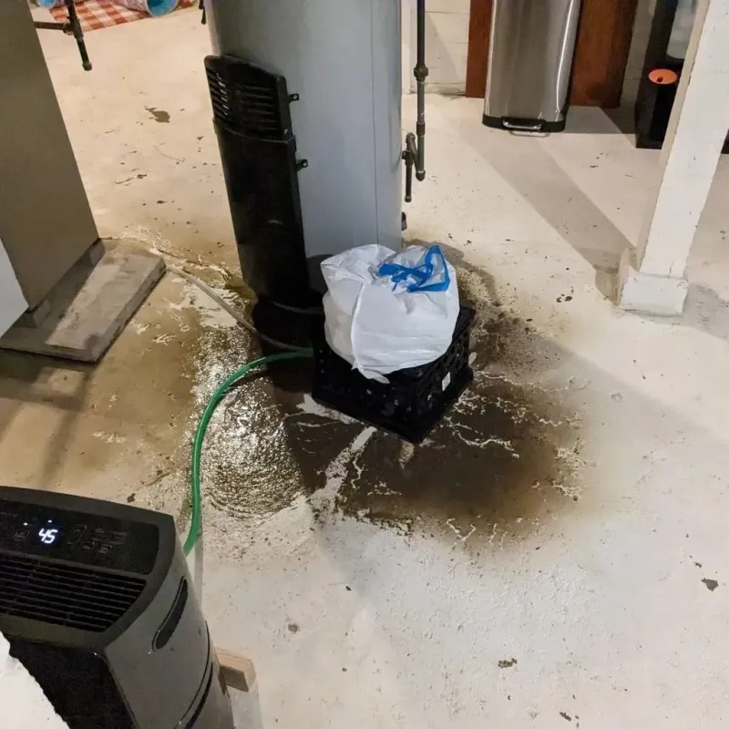 Sewage Backup Cleanup Service in Covington, TN